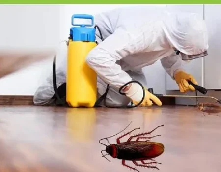 شركة مكافحة الصراصير
